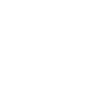 Schiek gloves icon